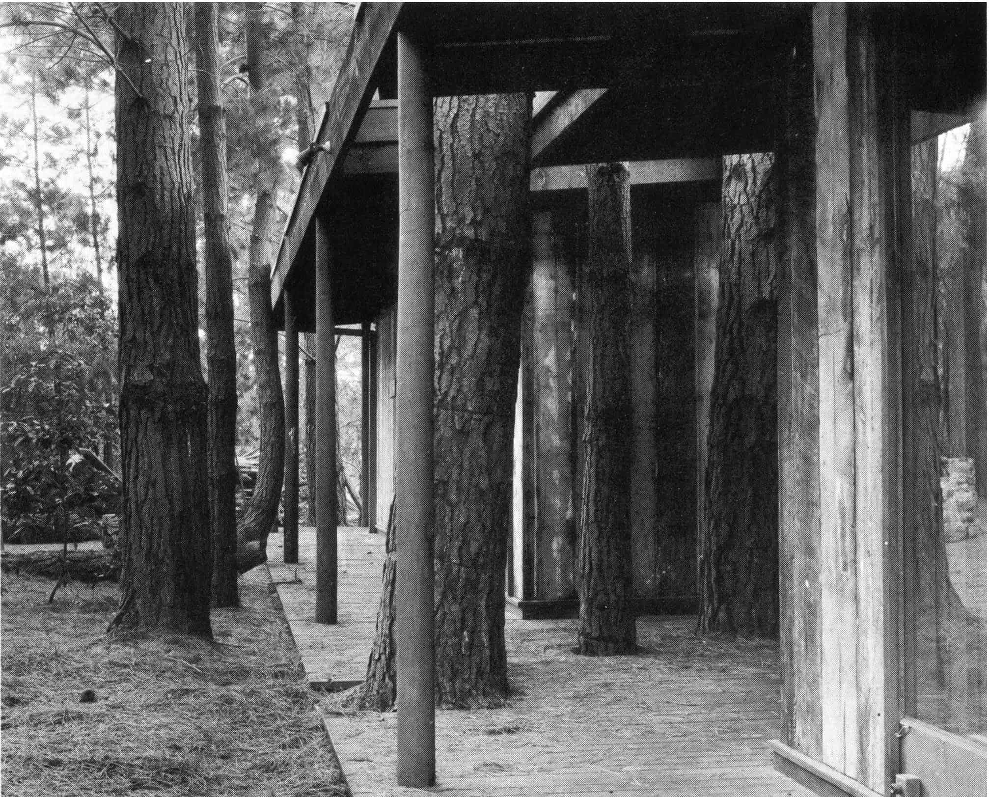 Marks House, Mt. Martha, built to accommodate existing trees Source: Knox